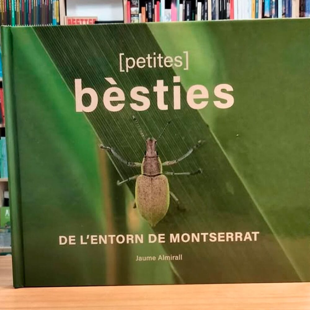 Bèsties de l’entorn de montserrat, Jaume Almirall